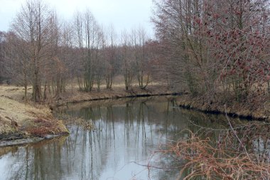 Sonbahar nehri manzarası. Ağaçlar ve çalılar nehir suyuna yansıyor. Sonbahar manzarası. Orman nehrinin su yüzeyi. Güzel sonbahar manzarası. Seyahat kavramı