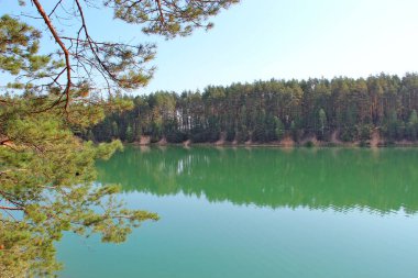 Çam ormanında yeşilimsi suyu olan güzel bir orman gölü. Harika doğal manzara. Su panoraması. Vahşi doğa.