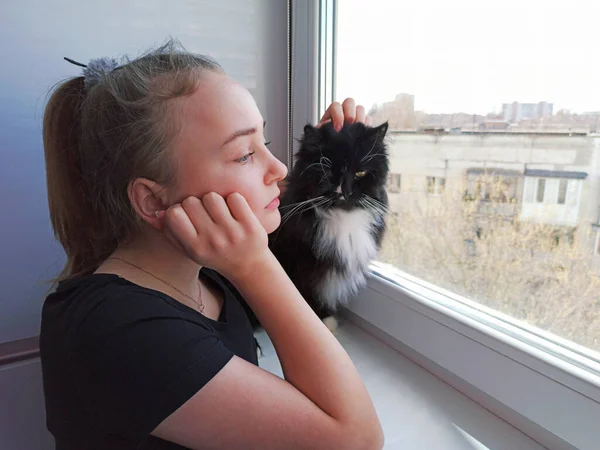 Fille Avec Chat Regardant Tristement Par Fenêtre Rester Maison Pendant — Photo