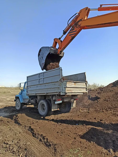 スクープでトラックボディに土壌をロード掘削機 近代的な積載装置 肥沃な土壌輸送 仕事中の掘削機 動く作品だ 野外活動 掘削機掘削土 — ストック写真