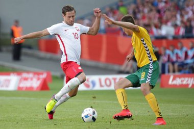 Grzegorz Krychowiak Polonya Futbol