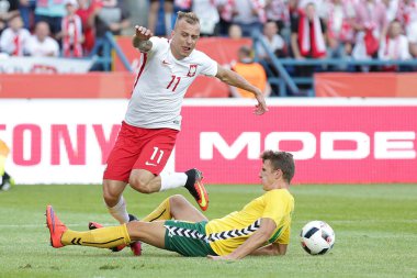 Inernational dostu futbol oyunu Kamil Grosicki