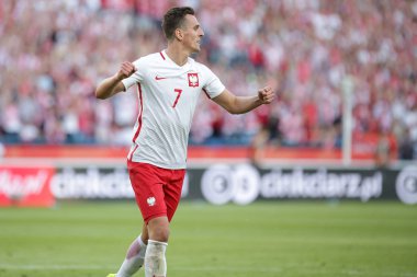 Inernational dostu futbol oyunu Arkadiusz Milik