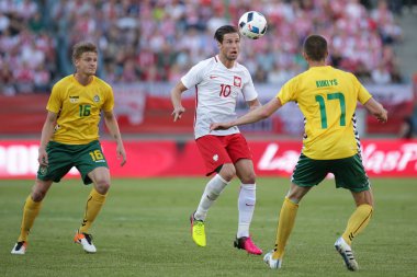 Inernational dostu futbol oyunu Grzegorz Krychowiak