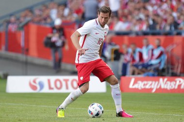 Inernational dostu futbol oyunu Grzegorz Krychowiak