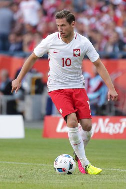 Inernational dostu futbol oyunu Grzegorz Krychowiak