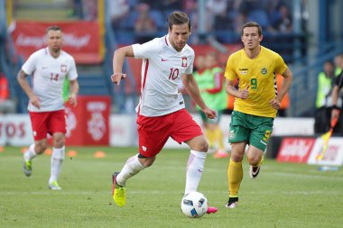 Inernational dostu futbol oyunu Grzegorz Krychowiak