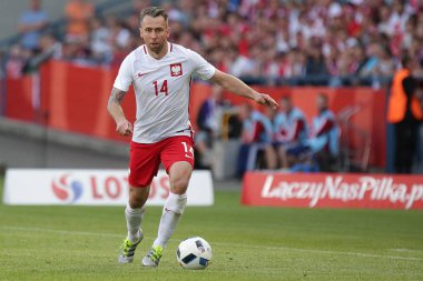Inernational dostu futbol oyunu Jakub Wawrzyniak