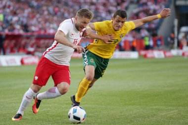 Inernational dostu futbol oyunu Jakub Kuba Blaszczykowski