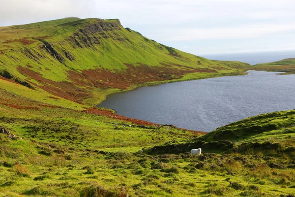 Neist Point, Isla de Skye, Escocia —  Fotos de Stock