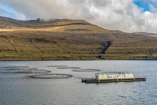 Salmon fish farm in the Faroe Islands