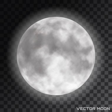 Vector realistic beautiful moon on transparent background. clipart