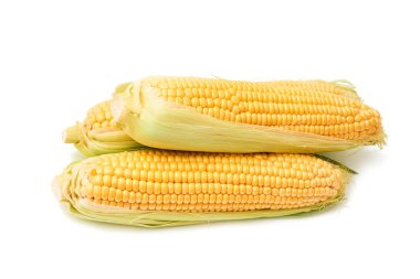 İzole tatlı taze mısır mısır koçanı