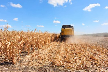 harvest field combine harvester corn crop agricultural technology clipart