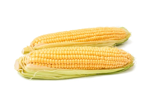 Sweet fresh corn maize cob isolated
