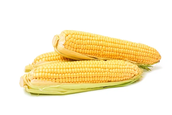 Süßer frischer Maiskolben isoliert — Stockfoto
