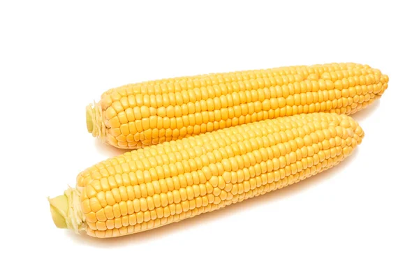 Sladký čerstvé kukuřice, Kukuřičný klas, samostatný — Stock fotografie