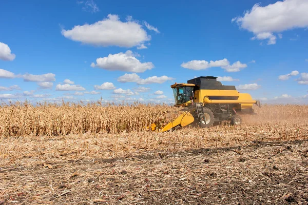 Cosecha campo combinar cosechadora maíz cultivo tecnología agrícola — Foto de Stock