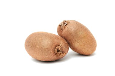 kivi meyve apteryx izole