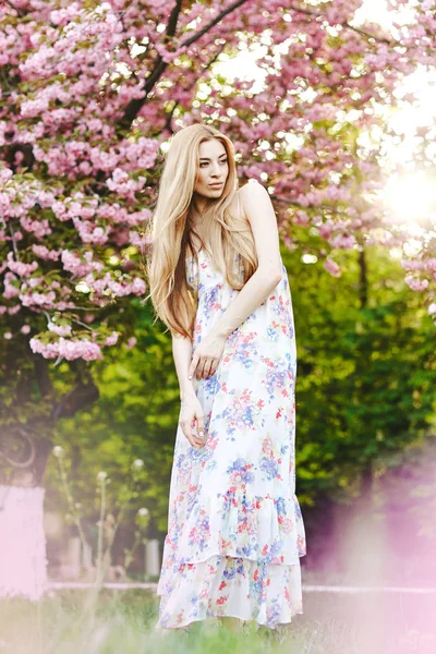 Портрет красивой девушки на фоне цветущей вишни — стоковое фото