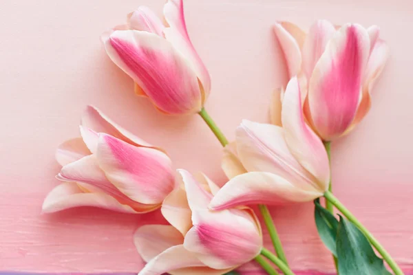 Tulips on light pink background