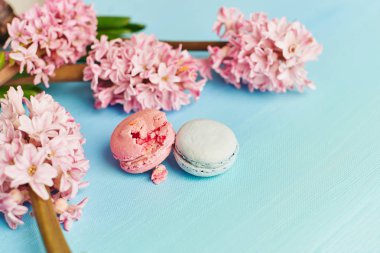 Macarons ile mavi arka plan üzerinde pembe sümbül