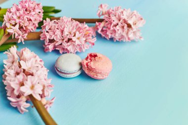Macarons ile mavi arka plan üzerinde pembe sümbül