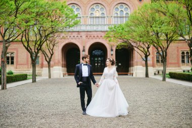 Gelin ve damat sokak chateau üzerinde yürüme