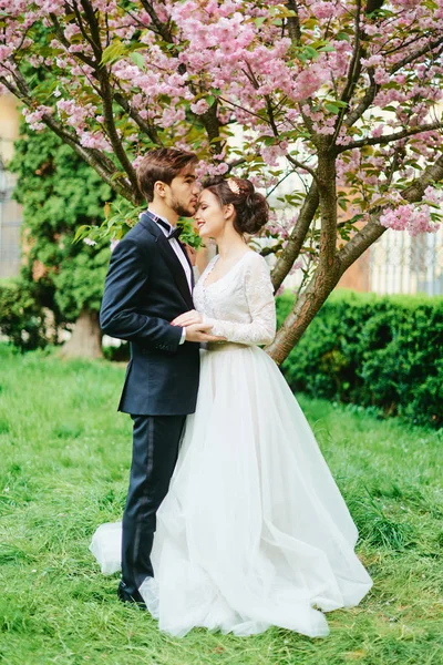 Bruiloft in park kersenbloesem bruid bruidegom — Stockfoto