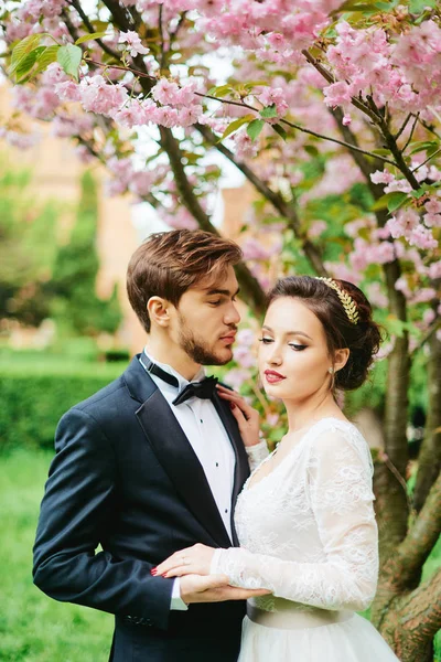 Park kiraz çiçeği Gelin Damat Düğün