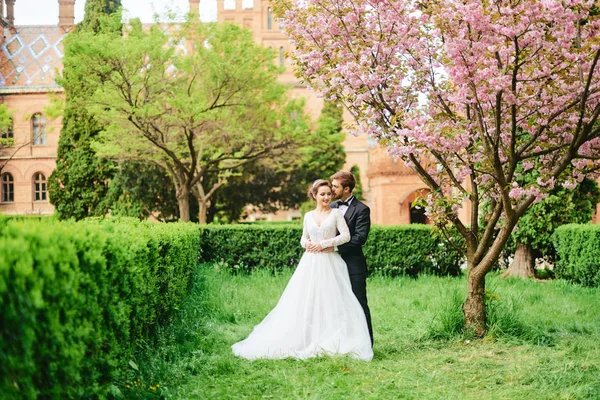 Bruiloft in park kersenbloesem bruid bruidegom — Stockfoto
