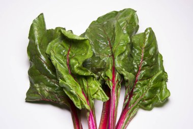 Taze kırmızı pazı vejetaryen superfoods