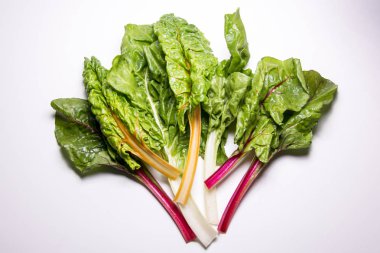 Gökkuşağı swiss chard, mangold pancar yaprakları