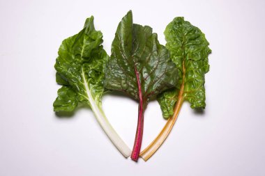 Gökkuşağı swiss chard, mangold pancar yaprakları