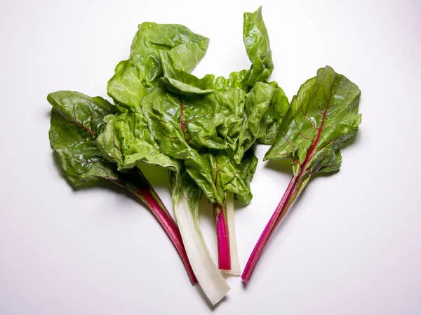 Rainbow swiss chard, mangold beeck leaves — стоковое фото