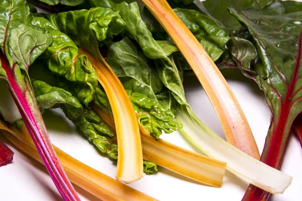 Rainbow swiss chard, mangold beeck leaves — стоковое фото