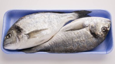 Dorado, Sparus, çipura balığı, Akdeniz diyeti