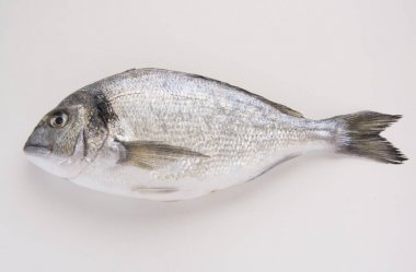Dorado, Sparus, çipura balığı, Akdeniz diyeti