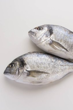 Dorado, Sparus, çipura balığı, Akdeniz diyeti