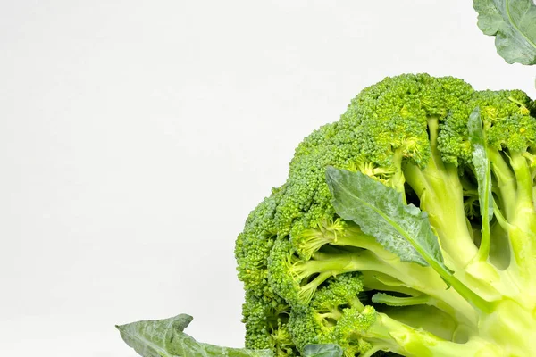 Brócoli aislado sobre fondo blanco — Foto de Stock