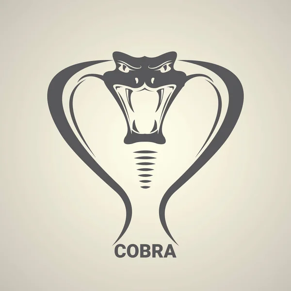 Vektor farliga cobra orm icon — Stock vektor