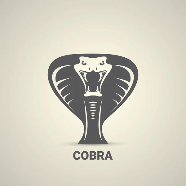 Vector gevaarlijke cobra slang pictogram — Stockvector