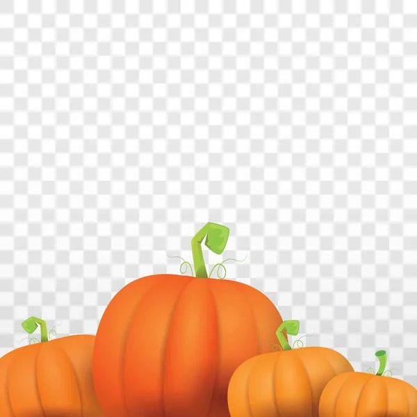 Modèle de conception de bordure de citrouilles orange vectoriel d'automne pour bannières et arrière-plans de jour d'action de grâce . — Image vectorielle