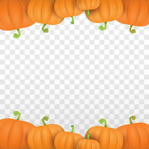 Modelo de design de borda de abóboras laranja vetor de outono para banners e fundos de dia de ação de graças . — Vetor de Stock