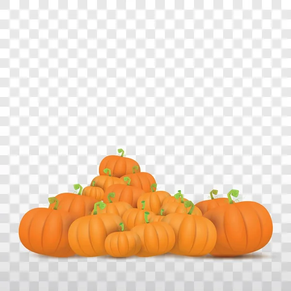 Otoño vector naranja calabazas borde diseño plantilla para pancartas y fondos de día de acción de gracias . — Vector de stock