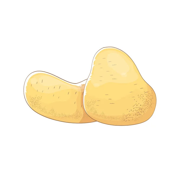 Vecteur drôle dessin animé mignonne pommes de terre brunes ensemble isolé sur fond blanc . — Image vectorielle
