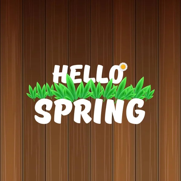 Вектор Привет весенний баннер с текстом и цветами. Hello spring slogan or label isolated on wood background — стоковый вектор