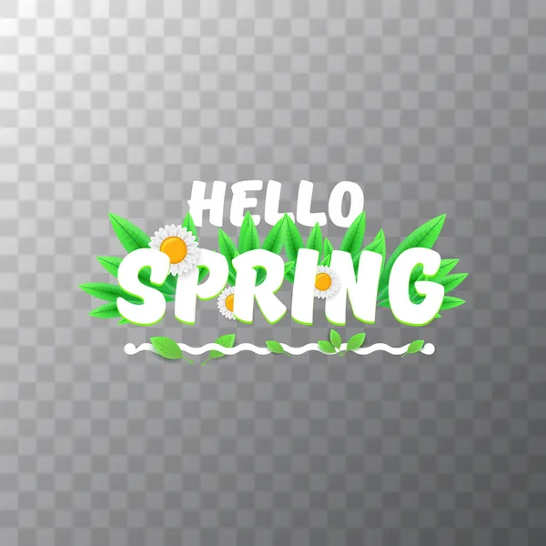 Vektor hello tavasszal vágja papír banner a szöveg és a virágok. Hello tavaszi szlogen vagy a címkét átlátszó háttér elszigetelt — Stock Vector