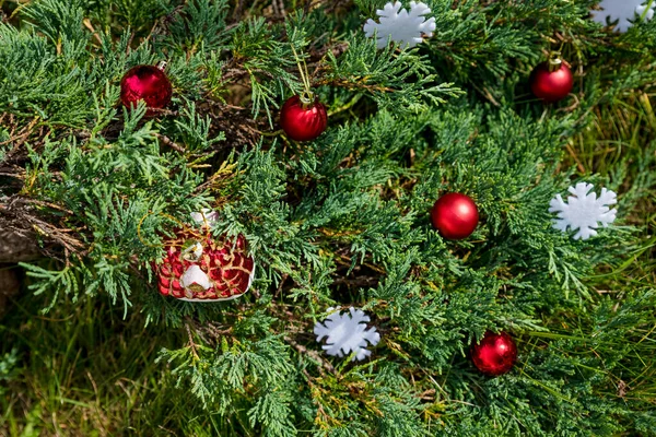 Hermosas decoraciones de Navidad de color colgando en el árbol de Navidad con decoración brillante.Fondo para las celebraciones de invierno con bolas rojas árbol de Navidad decoradas.beautiful celebran el festival en blanco — Foto de Stock