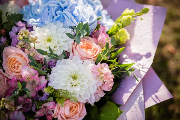 Schöner Strauß der Braut Hochzeitsblumen blaue Hortensien, frische rosa Rosen und Alstroemeria, Brautdekoration. frische Blumen an Sommertagen. Hochzeitstag. stilvoller schöner Strauß zum Geburtstag. — Stockfoto